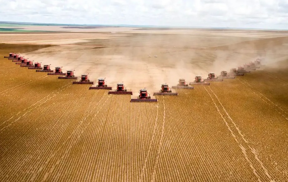 Agronegócio no brasil dá salto em 20 anos e hoje equivale ao PIB da argentina